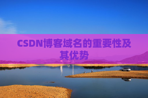 CSDN博客域名的重要性及其优势